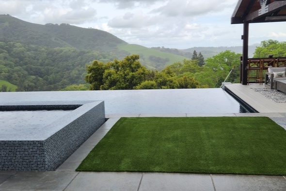 San Francisco artificial grass landscaping